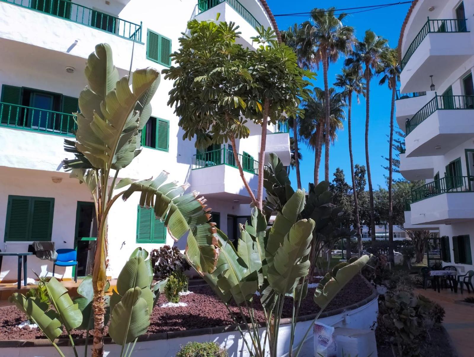 Canarian Havaii En Faluas Playa del Inglés Kültér fotó